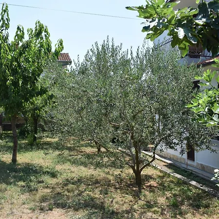 Apartamento With Wifi Sveti Filip I Jakov, Biograd - 4299 Sveti Filip i Jakov