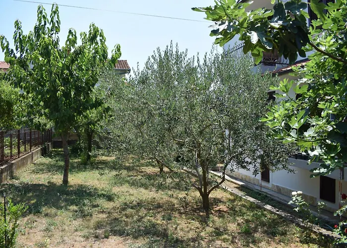 Appartement With Wifi Sveti Filip I Jakov, Biograd - 4299 Sveti Filip i Jakov